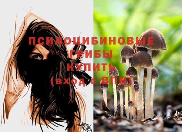 мяу мяу мука Алексеевка